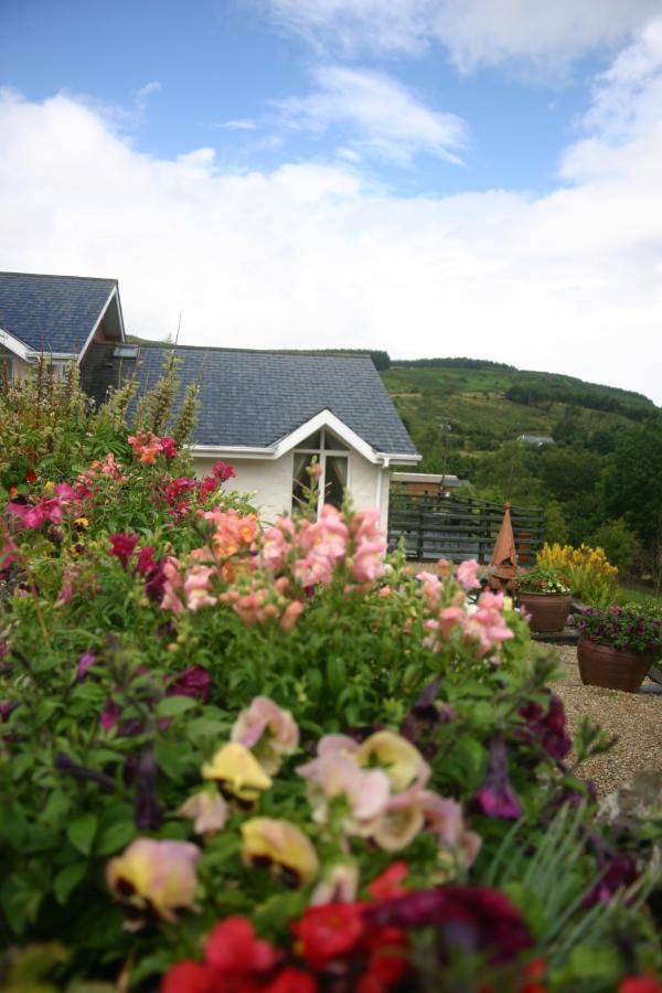 Wicklow Way Lodge Exterior photo
